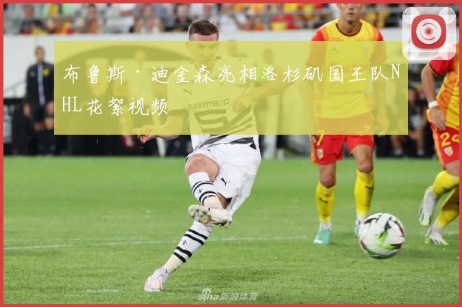 布鲁斯·迪金森亮相洛杉矶国王队NHL花絮视频