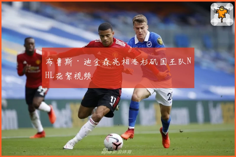 布鲁斯·迪金森亮相洛杉矶国王队NHL花絮视频